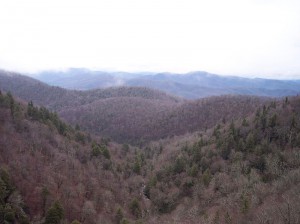 pisgah national forest